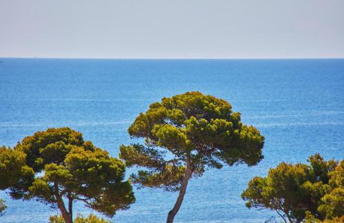 Cala Ratjada Hotel | Petit Hotel Ses Rotges - Only Adults