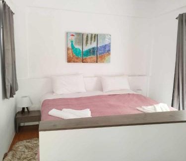 Aigio Apartamento | Petmeza Top Aigio City F