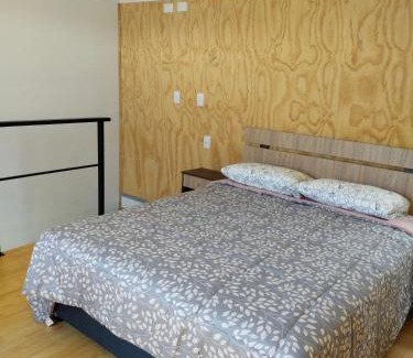 Valdivia Apartamento | Petrohue I