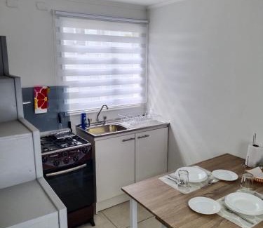 Valdivia Apartamento | Petrohue I