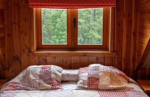 Petrohue Cabina | Petrohue Lodge