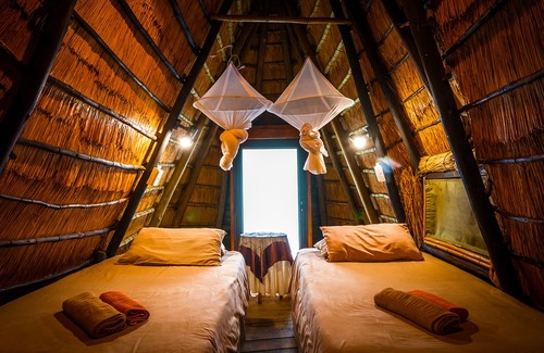 Thorny Bush Game Reserve Casa | Pezulu Tree House Lodge
