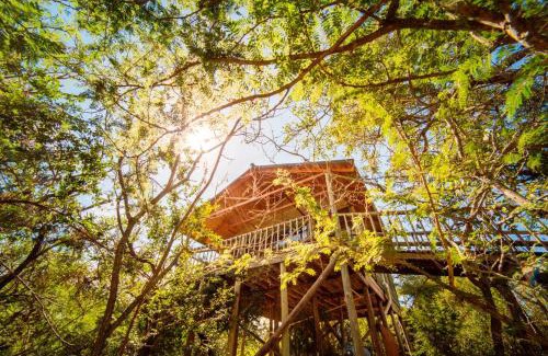 Thorny Bush Game Reserve Cabina | Pezulu Tree House Lodge