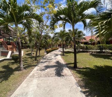 Palo Verde Cabina | PH Las Palmas de Hato Viejo