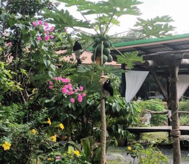 Ko Phaluai Otro | PhaluayCamping