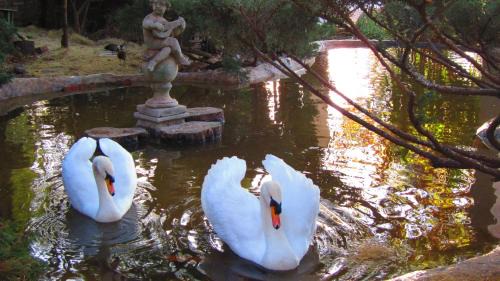 Centurion Cama Y Desayuno | Pheasant Hill Bed and Breakfast