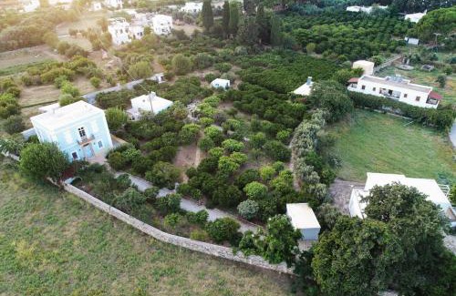 Alinda Apartamento | Phlea Farm Studios
