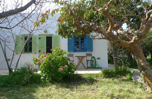 Alinda Apartamento | Phlea Farm Studios
