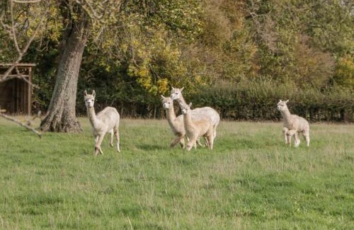 Forest of Dean Casa | Phoenix House