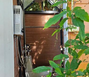 Noen Maprang Complejo | Phongtang Garden Homestay