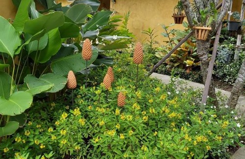 Doi Saket Complejo | Phoo Na Resort