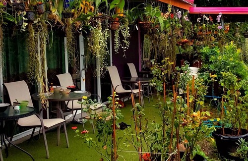 Bung Khong Long Casa | Phulunngkhawiew Homestay
