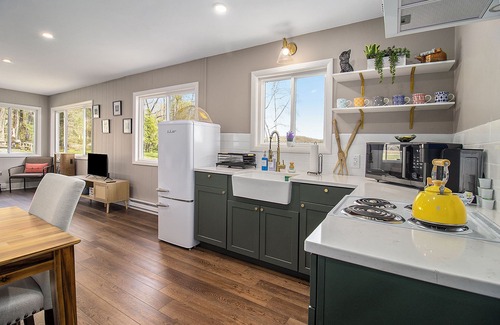 Newaygo Cabaña | Pickerel Lake Waterfront Cottage - with Kayaks!