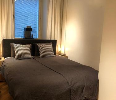 Ullanlinna Apartamento | Picturesque Area in Helsinki Center Apartment