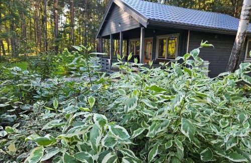 Lapmezciems Parish Casa | Pie Putniem