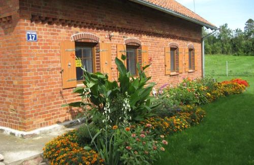 Pieczarki Cabina | Pieczarki