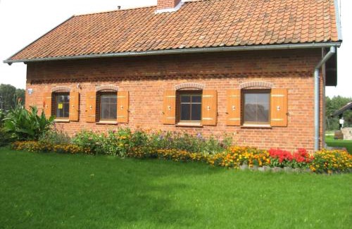 Pieczarki Cabina | Pieczarki