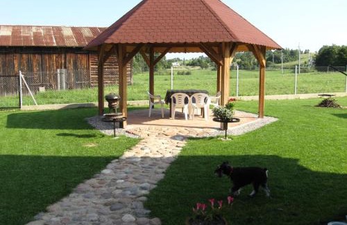 Pieczarki Cabina | Pieczarki