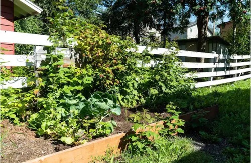 Campbell Park Apartamento | Pied Piper: centrally located in UMed/Prov with access to trails a block away