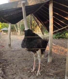 San Jose del Guaviare Casa | Piedra Alta