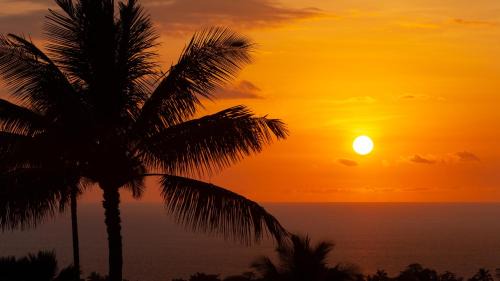 Kamuela Apartamento | ❤PiH❤ A Sea-nic Escape Stunning Ocean View Mauna Kea Resort eBikes