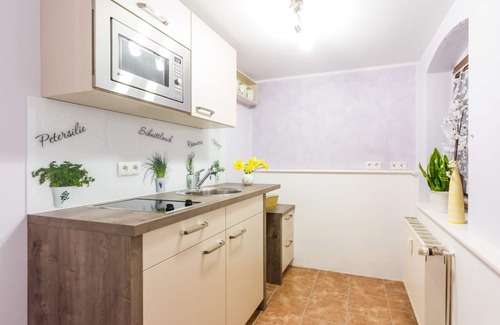Pillnitz Apartamento | Vista del viñedo de Pillnitz y vista del castillo