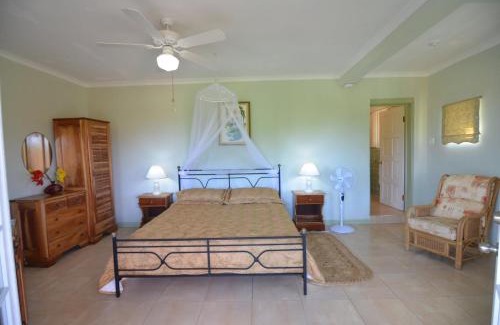 Long Bay Cabina | Pimento Lodge Resort