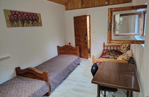 Mojkovac Apartamento | Pine corner Mojkovac