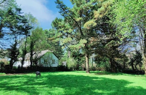 Goonhavern Casa | Pine Croft Cottage - sleeps 4, tucked away in the woodland, 5 minutes from beach