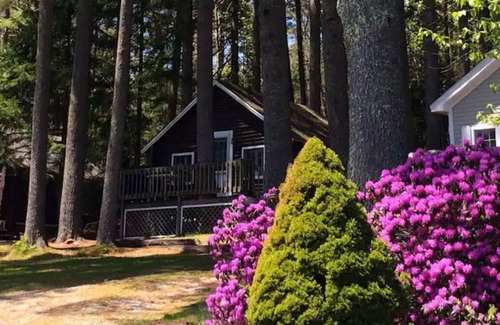 Lincolnville Cabaña | Pine Grove Cottages: Cottage 3: Studio Cottage - Pet Friendly