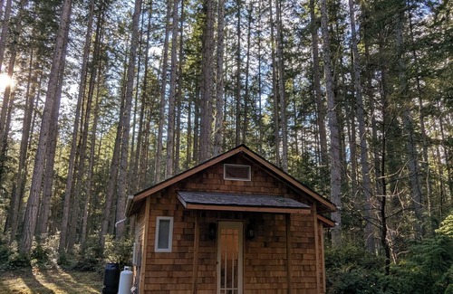 Langley Cabina | Pine Guest Cabin in the Woods