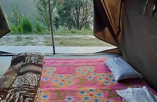 Shimla Casa | Pine Hills Nature Camp