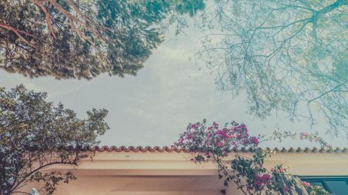 Faro Cama Y Desayuno | Pine House - Faro Airport, Beach and City Center
