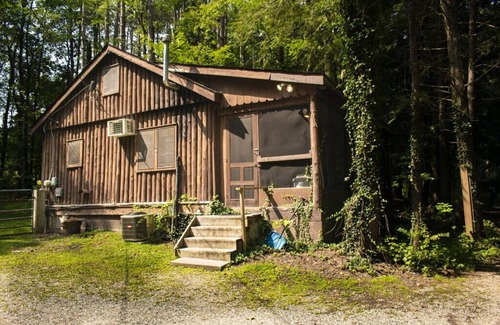 Bainbridge Cabina | Pine Lake Trout Club Cabin #4!!!