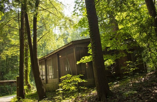 Bainbridge Cabina | Pine Lake Trout Club Cabin #4!!!