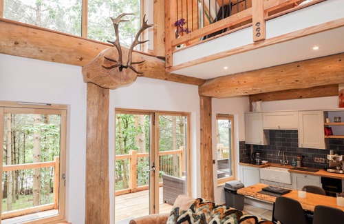 Grantown-on-Spey Cabaña | Pine Marten Lodge