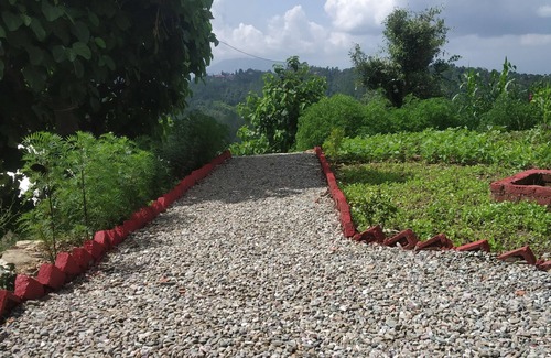 Kaul Cabaña | Pine pioneer the eco resort