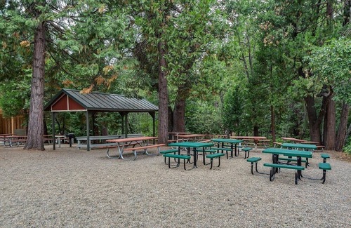 Arnold Chalet De Esquí | Pinebrook Chalet-Upscale Relaxation-Walk to Pinebrook Lake-drive to Bear Valley