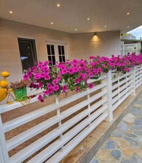 Ishem Apartamento | Pines House