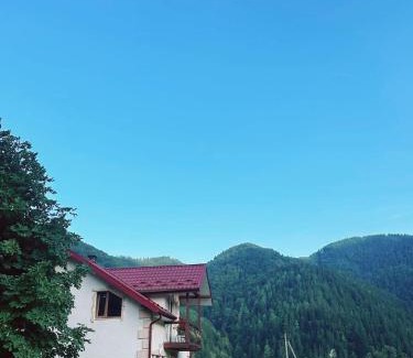 Dobrovelychkivka Apartamento | Pink House Karpaty