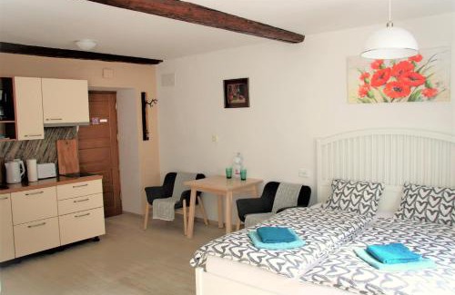 Ljubljana Old Town Apartamento | Pink house Studio