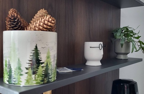 Kopaonik Apartamento | Apartamento Pino Nero