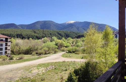 Shiligarnika Apartamento | Pirin Heights VIP apartment