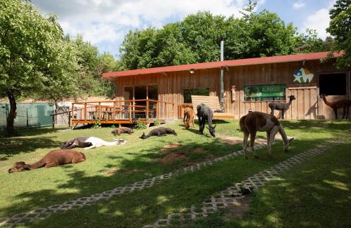 Pirk Chalet De Esquí | Pirker Anden Chalet