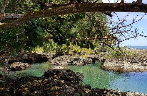 Cahuita Hotel | Piscina Natural on the Sea