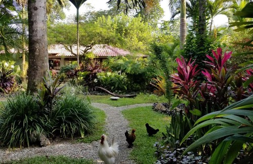 Cahuita Hotel | Piscina Natural on the Sea