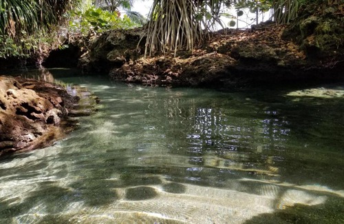 Cahuita Hotel | Piscina Natural on the Sea