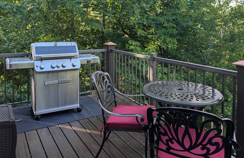 Newland Cabina | Pisgah Forest: 3 BR/3BA, Hot Tub, Wood Stove, Patio, Firepit, Grill, EV Charger