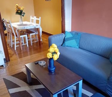 Vigo Apartamento | PISO GRAN VIA Vigo