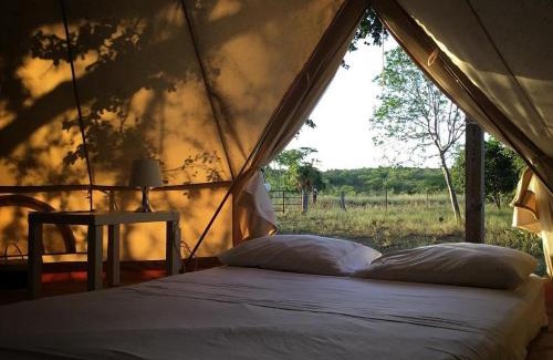Cabo Rojo Otro | Pitahaya Glamping
